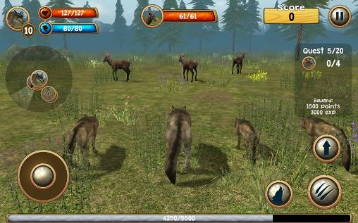 Wild wolf simulator 3D pour Android