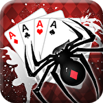 Spider solitaire icon