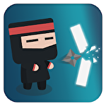 Ninja break block icône