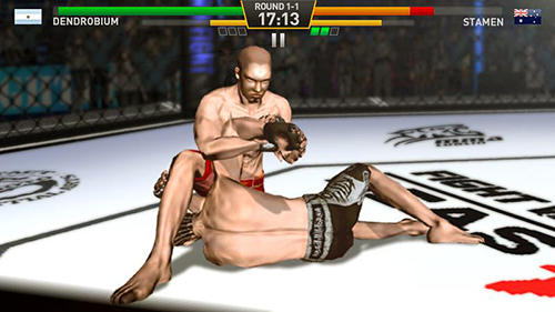 Fighting star screenshot 1