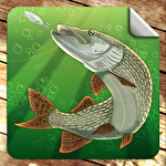 Russian Fishing icono