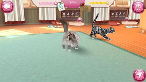 Cat hotel: Hotel for cute cats para Android