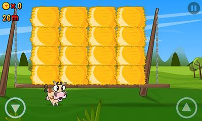 Run Cow Run screenshot 1