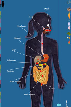 El Cuerpo Humano por Tinybop