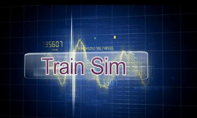 Train Sim captura de pantalla 1