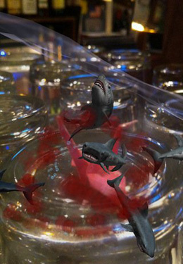 Ein Finger für den Hai! 3D Interaktives Aquarium auf Russisch