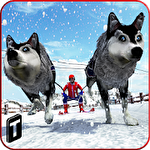 Sled dog racing 2017 icon