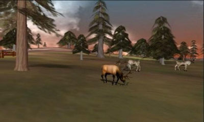 3D Hunting: Trophy Whitetail für Android