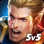 Realm of valor icon