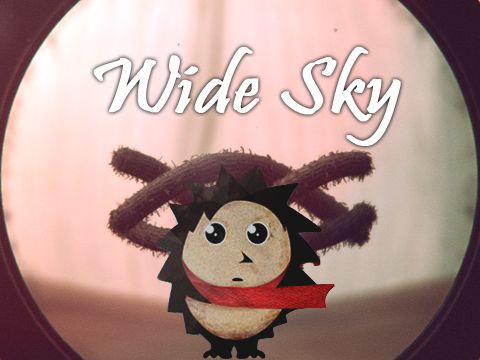 logo Wide sky