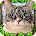 Stray cat simulator icono