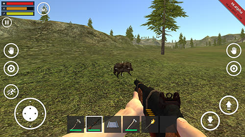 Survival simulator screenshot 1