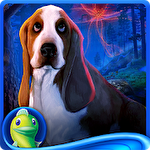 Hidden object. Edge of reality: Lethal prediction. Collector's edition icon