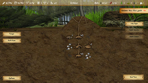Finally ants for Android