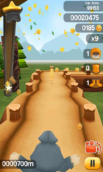 Easter bunny. Rabbit frenzy: Easter eggs storm pour Android