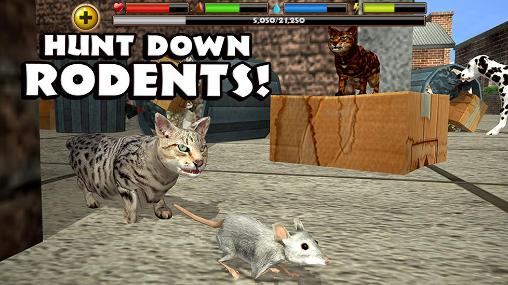 Stray cat simulator for Android