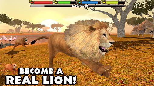 Ultimate lion simulator captura de pantalla 1