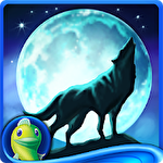 Echoes of the past: Wolf healer. Collector's edition icon