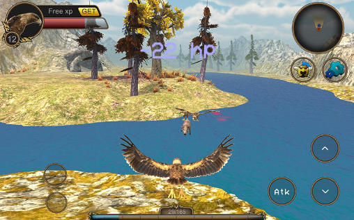 Eagle bird simulator screenshot 1