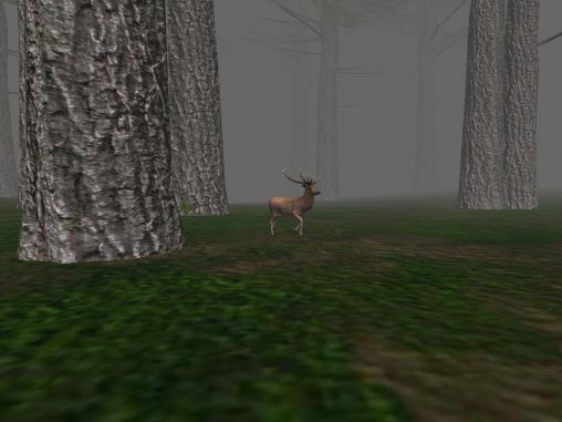 Trapped in the forest screenshot 1