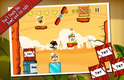 KungFu de bichos para iPhone gratis