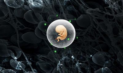 War of Reproduction - Sperm Wars скриншот 1