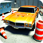 Backyard parking 3D icono