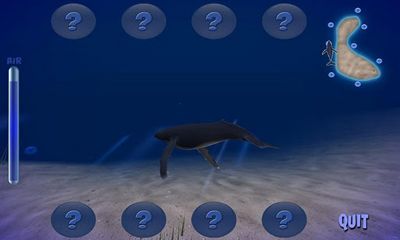 Humpback Whale for Android