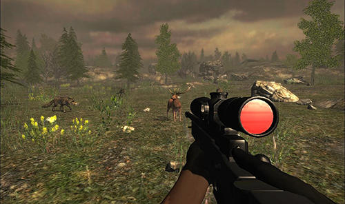 Animal hunting sniper 2017 screenshot 1