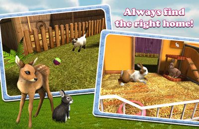 PetWorld 3D: My Animal Rescue Picture 1