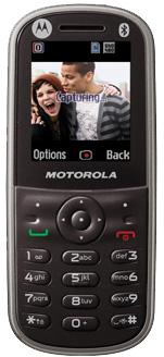 Download ringtones for Motorola WX288