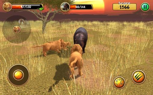 Wild lion simulator 3D screenshot 1