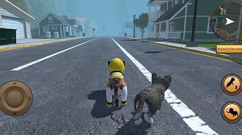 Cat simulator: Animal life скриншот 1
