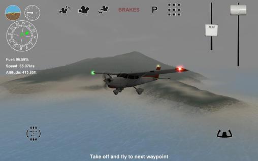 Island bush pilot 3D captura de tela 1