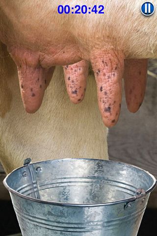  Melke die Kuh auf Deutsch