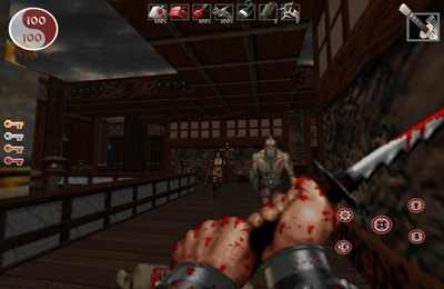 Shadow Warrior for iPhone