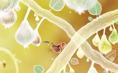 Botanicula for iPhone for free