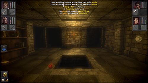 The deep paths: Labyrinth of Andokost capture d'écran 1