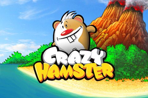 ロゴCrazy hamster