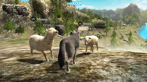 The wolf: Online simulator pour Android