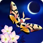 Flutter: Starlight icono