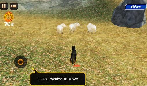 Shepherd dog simulator 3D screenshot 1