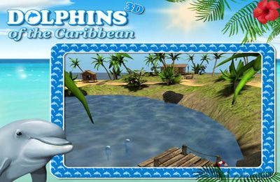 logo Delphine der Karibik: Abenteuer mit dem Piratenschatz