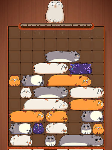 Maru slide: Block puzzle for Android