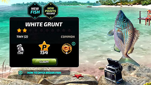 Fishing clash: Catching fish game. Hunting fish 3D captura de pantalla 1