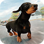 Dog simulator 2016 іконка