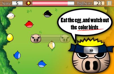 Pigs Revenge for iOS devices