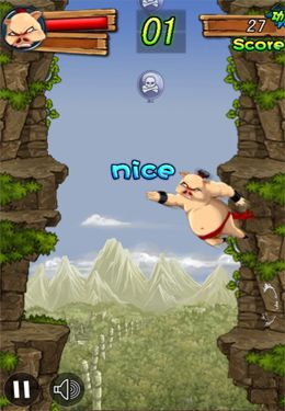 Kung Fu Master: Pig for iPhone