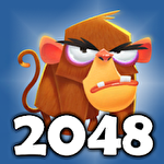 2048: Human evolution icône