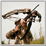 Crossbow shooting deluxe icon